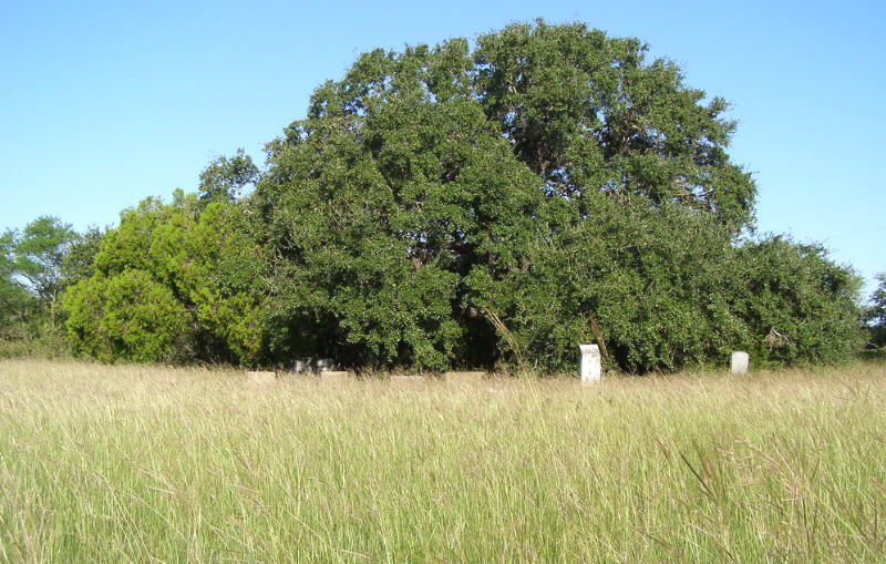 Colony Cemetery, Bee County, Texas