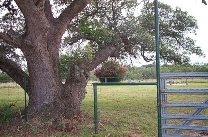 chew Cemetery