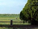 Cemetery view